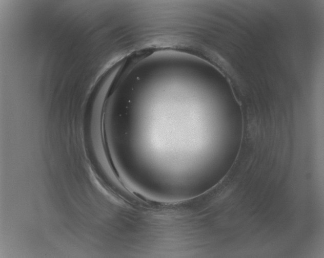 X0000054420530200508121754