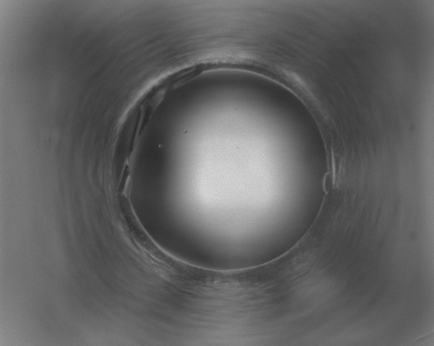 X0000054420531200508121754