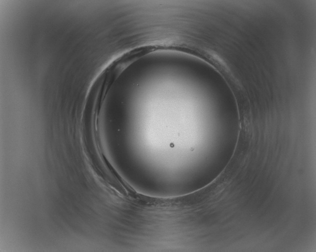 X0000054420532200508121754