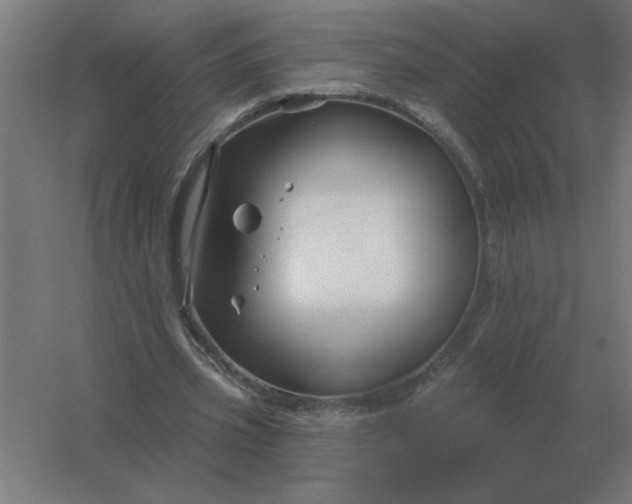 X0000054420533200508121754