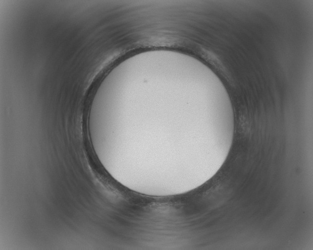 X0000054420534200508121754