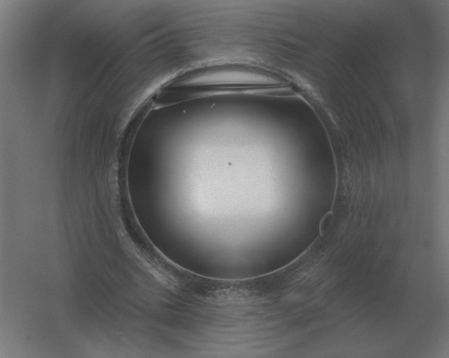 X0000054420535200508121754