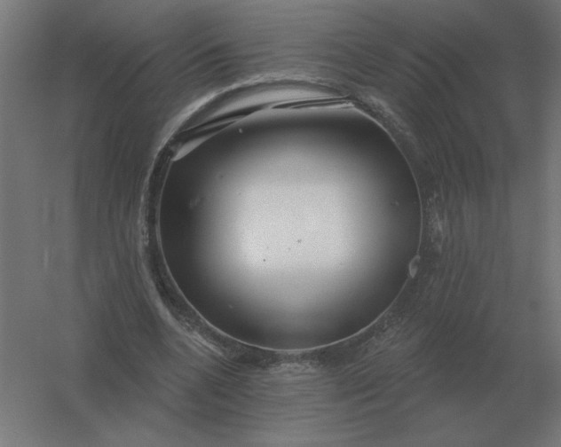 X0000054420536200508121754