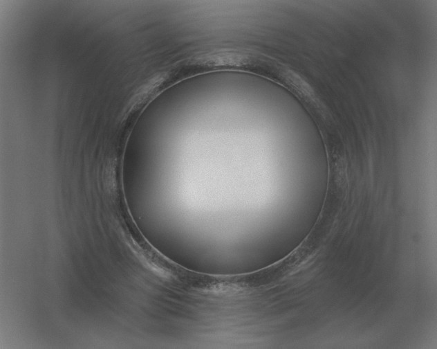 X0000054420537200508121754