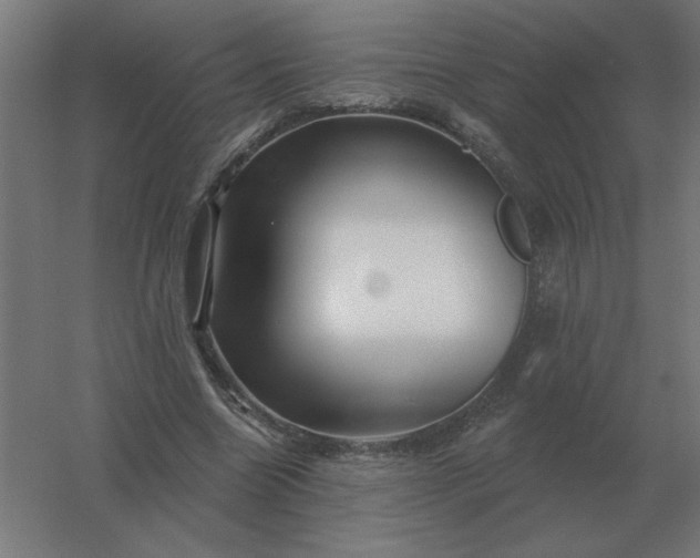 X0000054420538200508121754