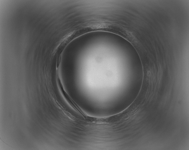 X0000054420539200508121754