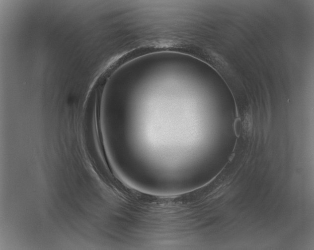 X0000054420540200508121754