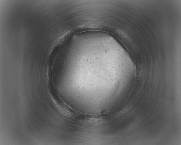 X0000054420542200508121754