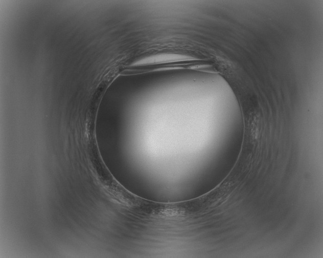 X0000054420546200508121754