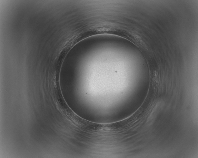 X0000054420547200508121754