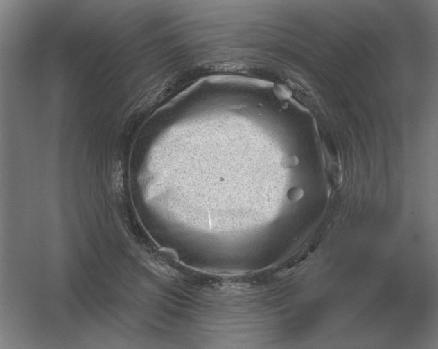 X0000054420549200508121754