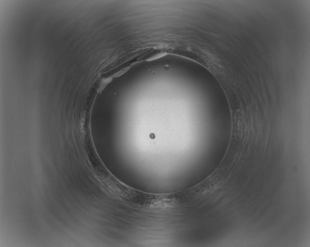 X0000054420550200508121754