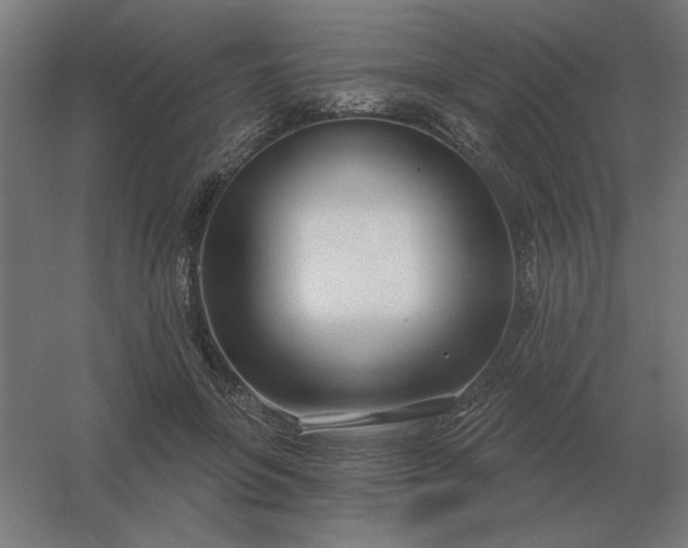 X0000054420551200508121754