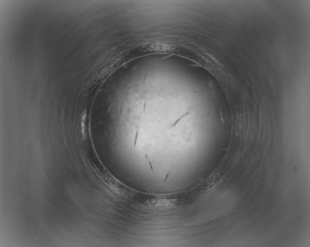 X0000054420553200508121754