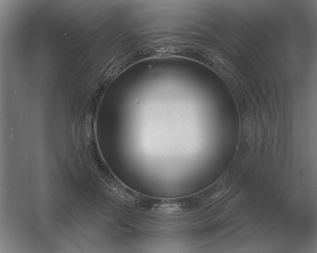 X0000054420554200508121754