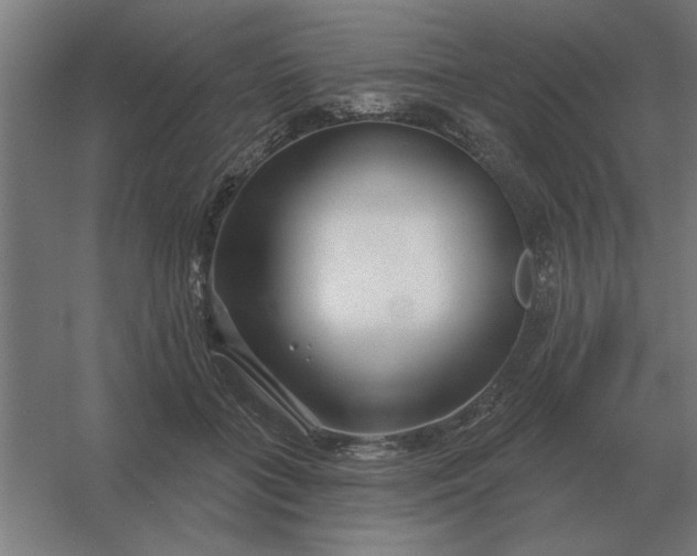 X0000054420555200508121754