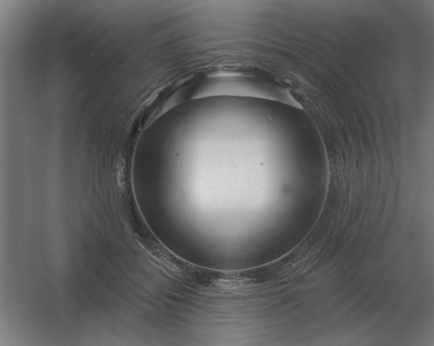 X0000054420556200508121754