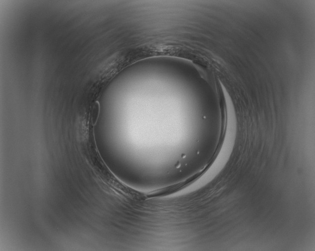 X0000054420558200508121754