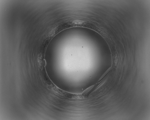 X0000054420559200508121754