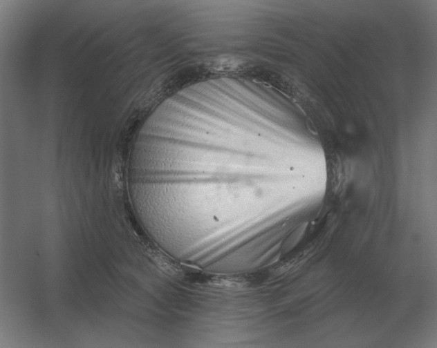 X0000054420561200508121754