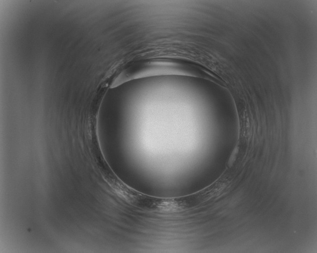 X0000054420562200508121754