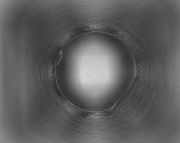 X0000054420563200508121754