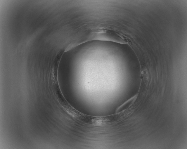 X0000054420564200508121754