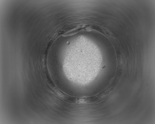 X0000054420565200508121754