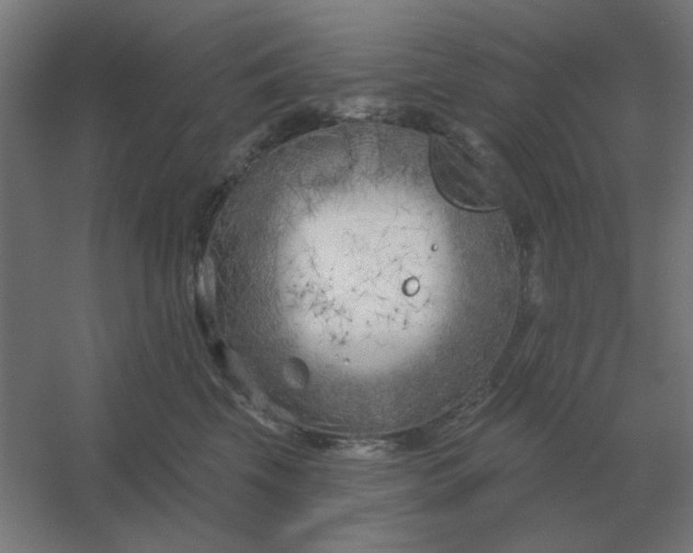 X0000054420569200508121754