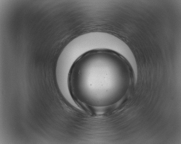 X0000054420570200508121754