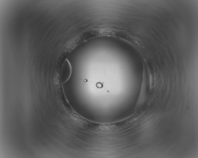 X0000054420571200508121754