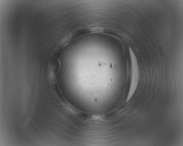 X0000054420573200508121754