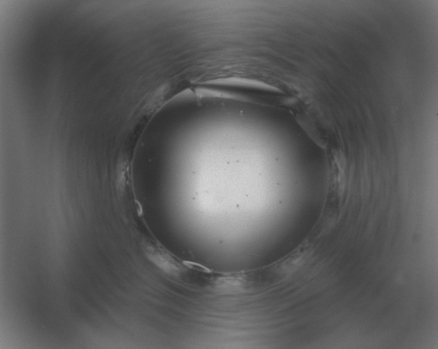 X0000054420574200508121754