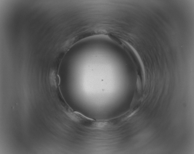 X0000054420575200508121754