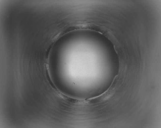 X0000054420576200508121754