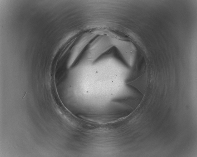 X0000054420578200508121754