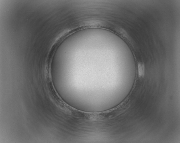 X0000054420579200508121754