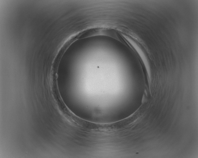 X0000054420580200508121754