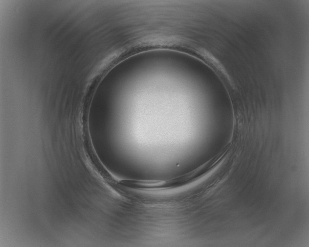 X0000054420581200508121754