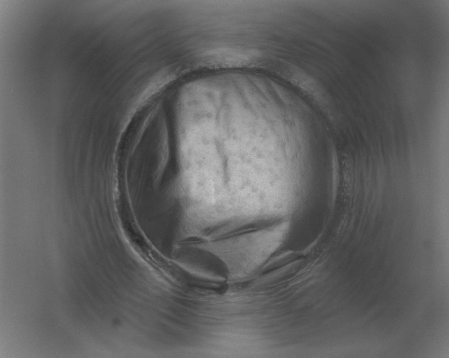 X0000054420582200508121754