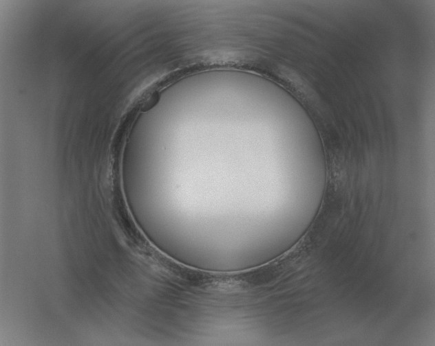 X0000054420583200508121754