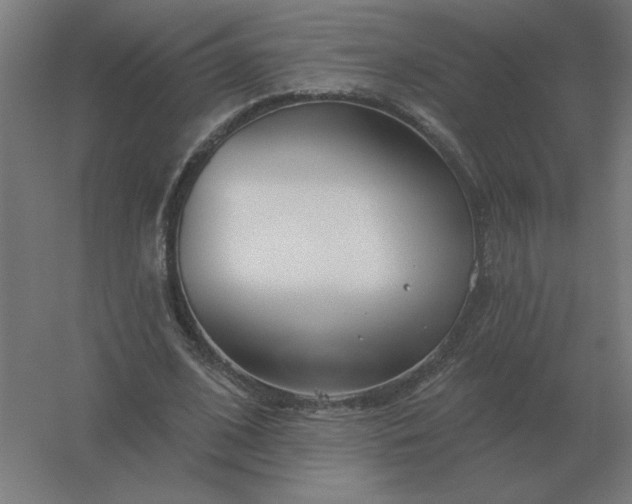 X0000054420584200508121754