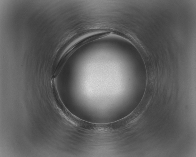 X0000054420585200508121754