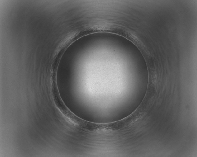 X0000054420586200508121753