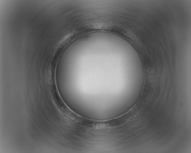 X0000054420587200508121753