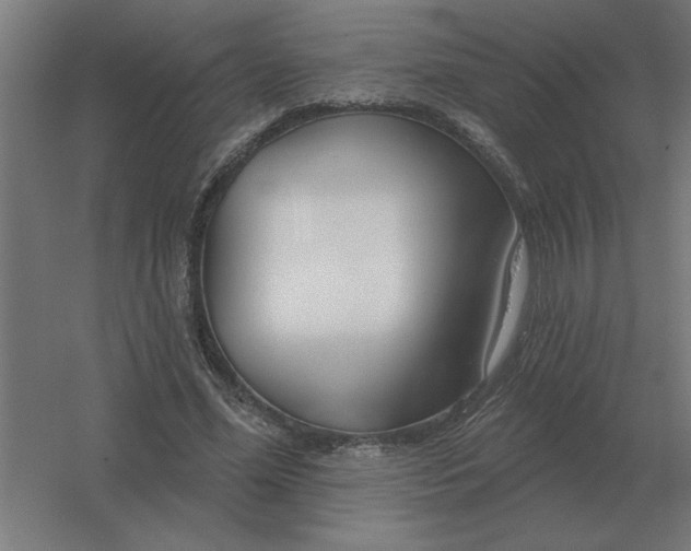 X0000054420588200508121753