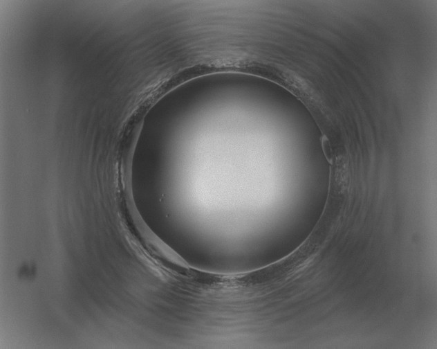 X0000054420589200508121753