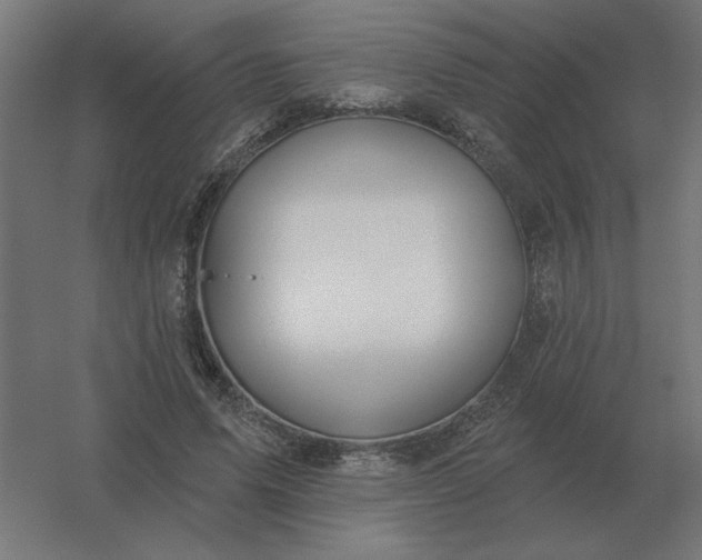 X0000054420591200508121753