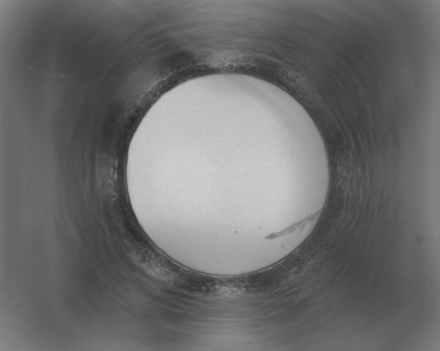 X0000054420592200508121753