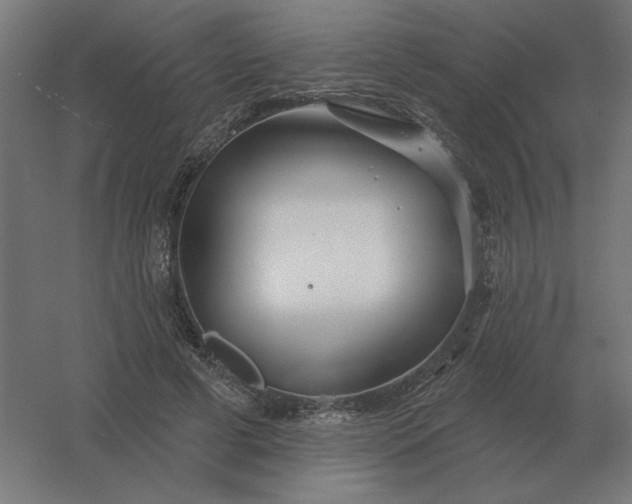 X0000054420593200508121753